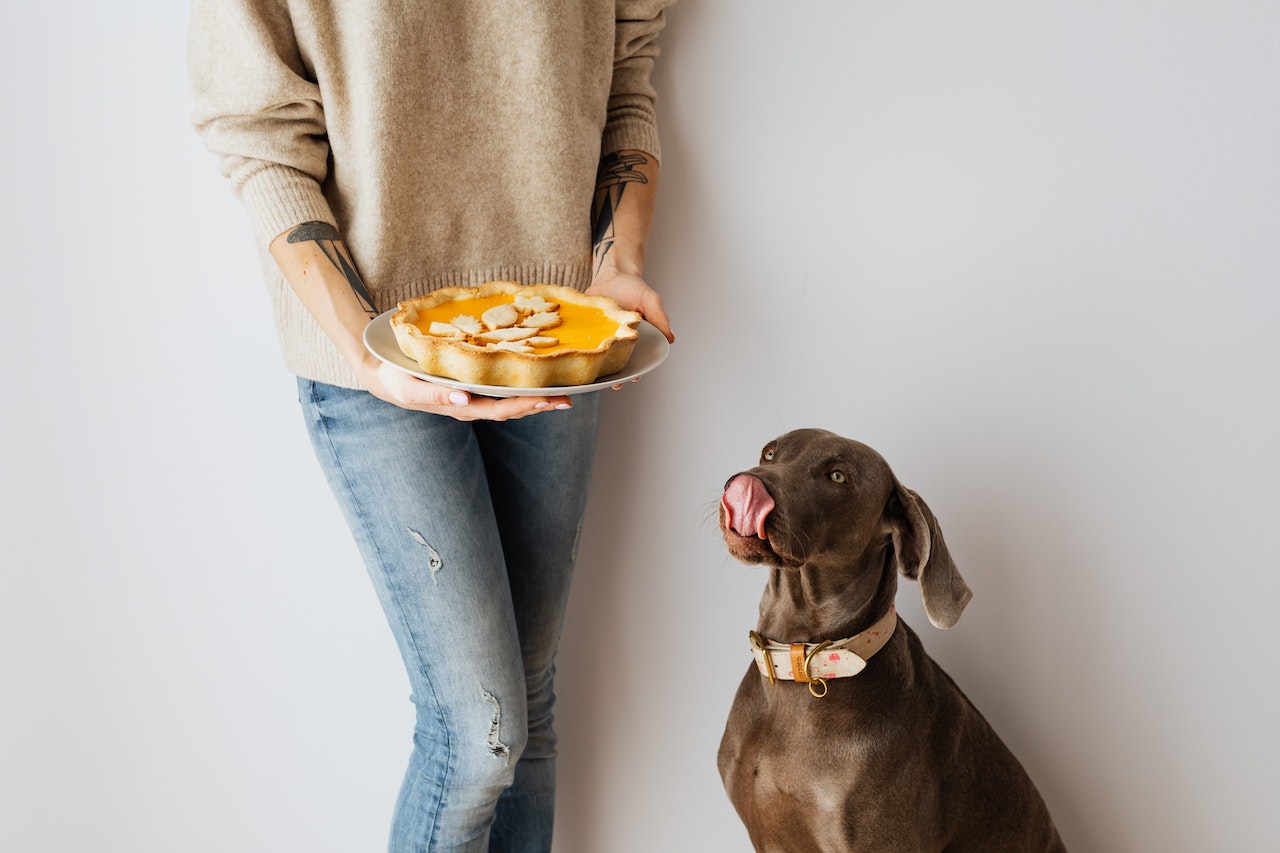 Taste of the Wild – Wyjątkowa dieta dla Twojego psa